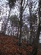 Monte Rossello